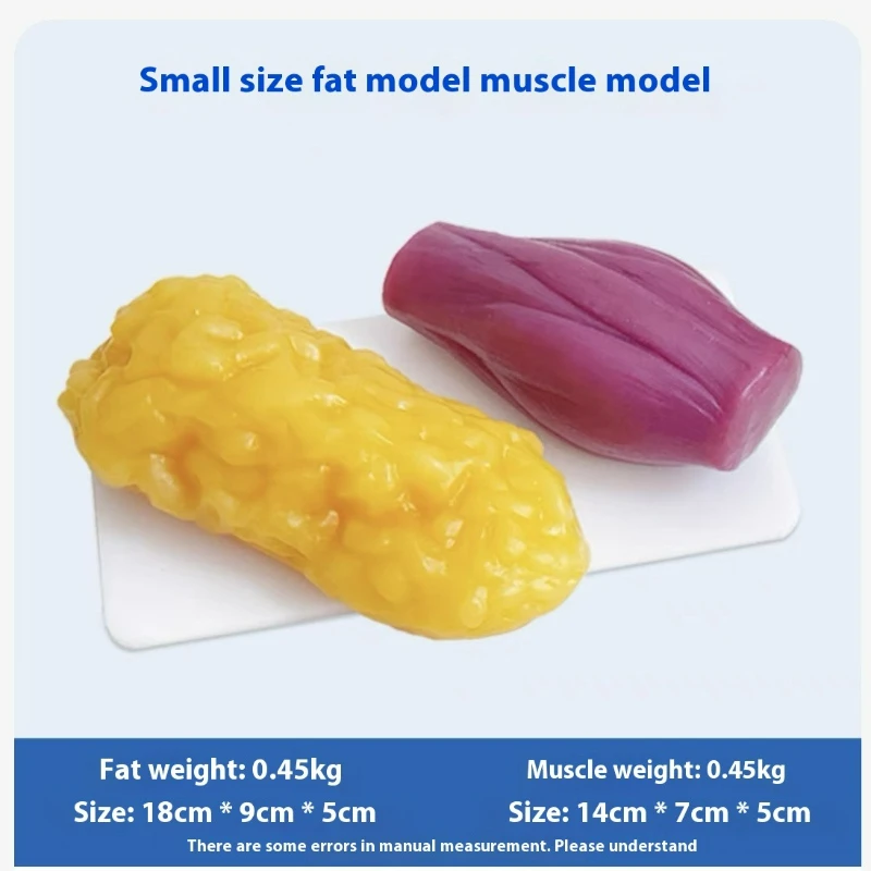 İnsan Kası ve Yağ Replikaları  - Nutrition Of Fitness incelemesi ve fiyatı